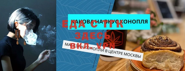 стаф Медногорск
