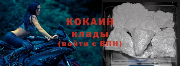 стаф Медногорск