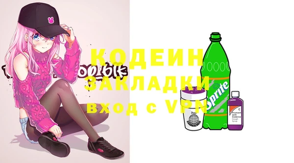 индика Майский