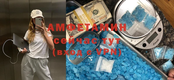 индика Майский