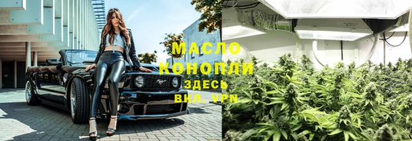 индика Майский