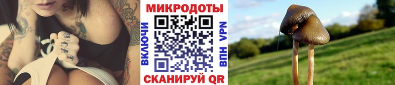 кракен как войти  Таганрог  Псилоцибиновые грибы мицелий  магазин продажи  