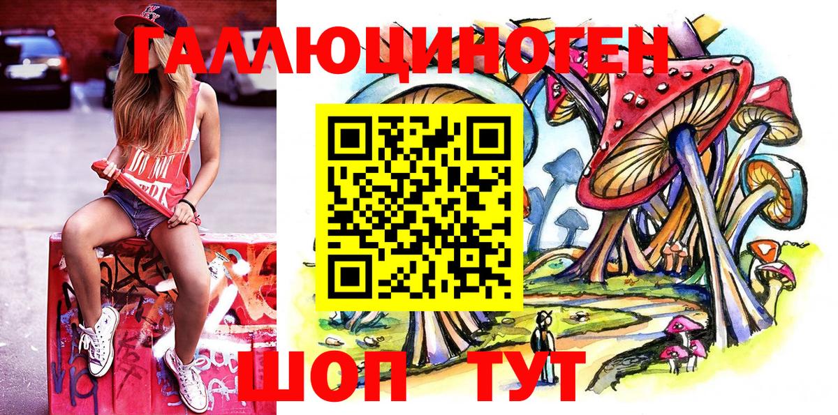 Псилоцибиновые грибы Psilocybine cubensis Таганрог