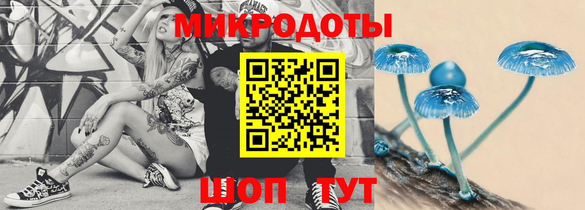 Галлюциногенные грибы прущие грибы  Таганрог 