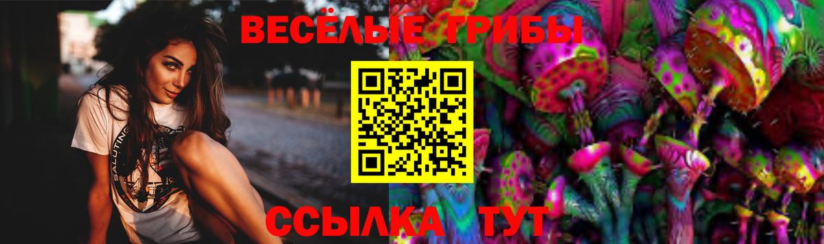 Галлюциногенные грибы Cubensis Таганрог