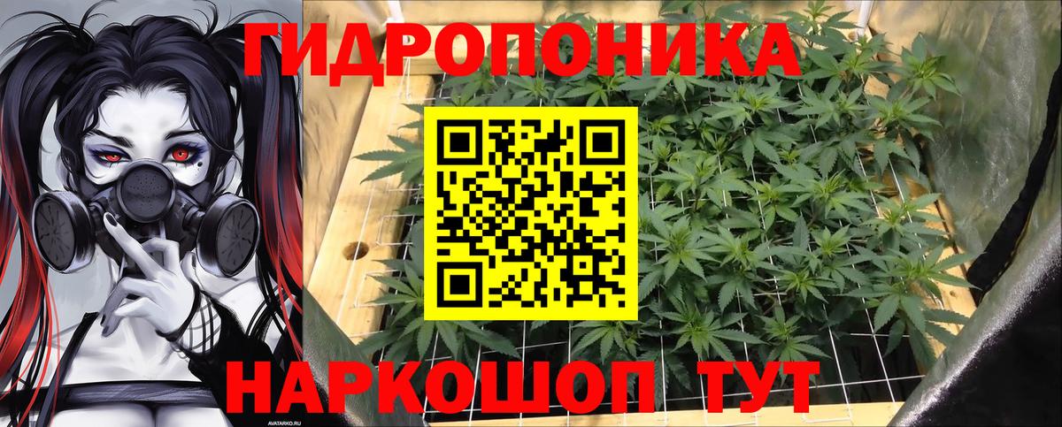Конопля ГИДРОПОН  Вход с VPN  Марихуана SATIVA & INDICA  Таганрог  Бошки марихуана семена  Шишки марихуана Bruce Banner 